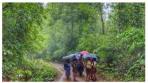 Karnataka Rain: ರಾಜ್ಯದ ಹಲವೆಡೆ ಮಳೆ, ತಂಪಾದ ಭೂಮಿ, ರೈತರ ಮುಖದಲ್ಲಿ ಸಮಾಧಾನ.. male-nadu