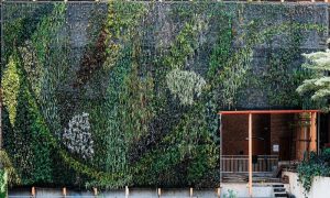 Vertical Garden