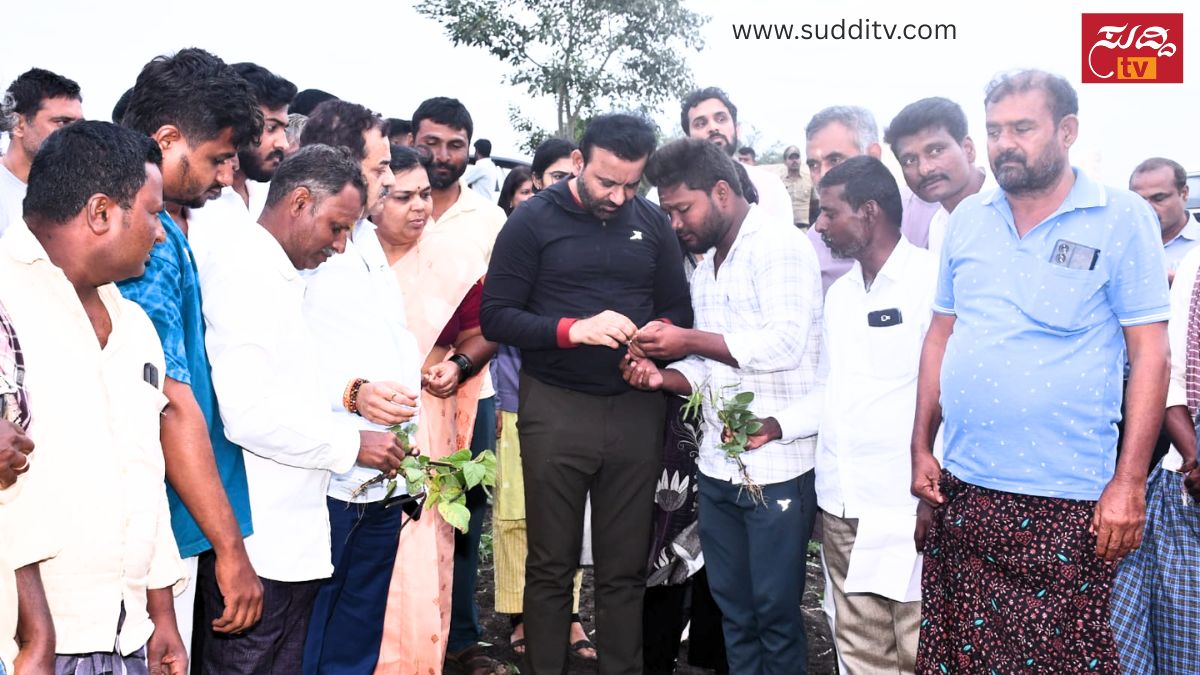 ಧಾರವಾಡದಲ್ಲಿ ಮಳೆ ಕೊರತೆ: ಬೆಳೆ ಹಾನಿ ಪರಿಶೀಲಿಸಿದ ಸಚಿವ ಸಂತೋಷ ಲಾಡ್, ರೈತರಿಗೆ ಪರಿಹಾರದ ಭರವಸೆ